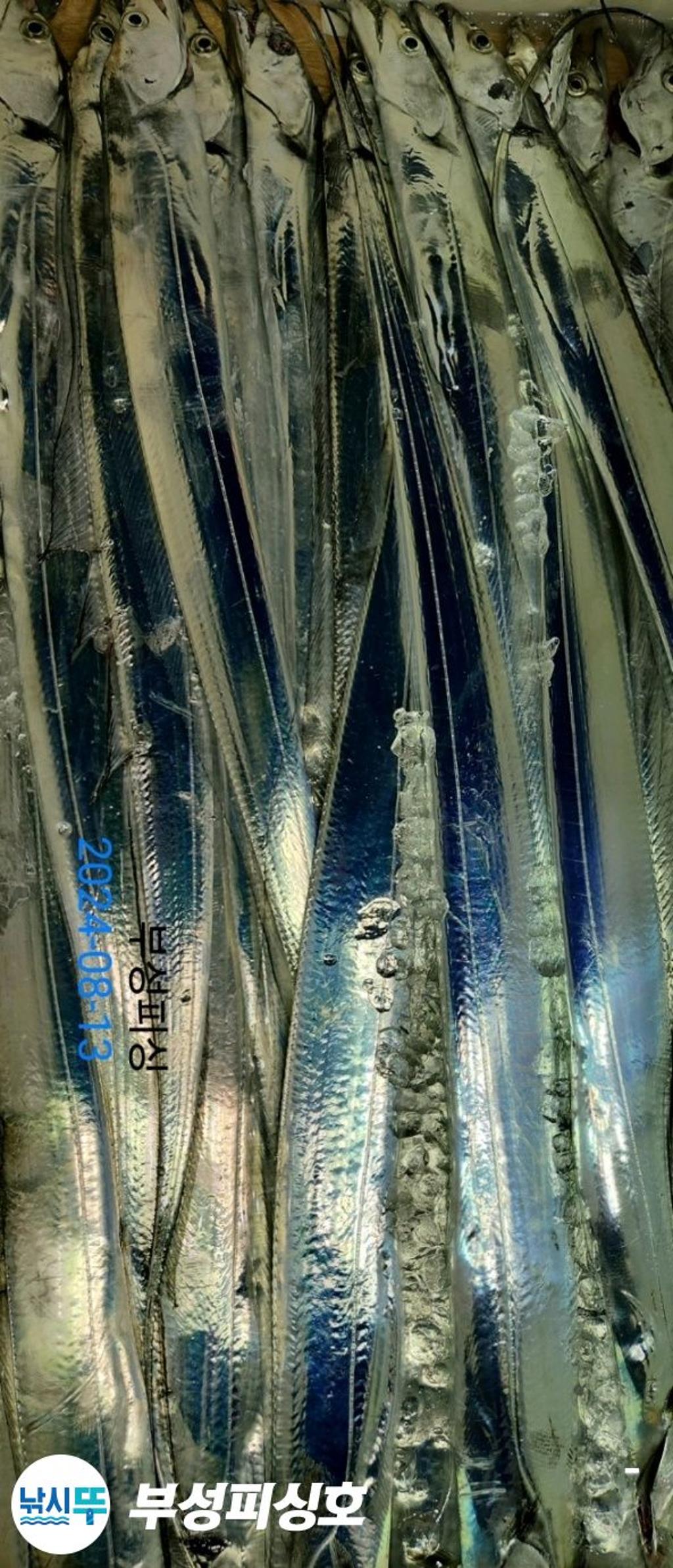F2473219IH.jpg