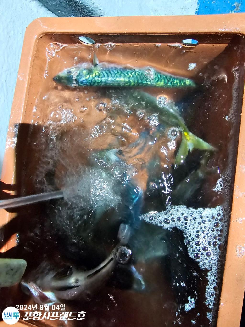 F2473777R0.jpg