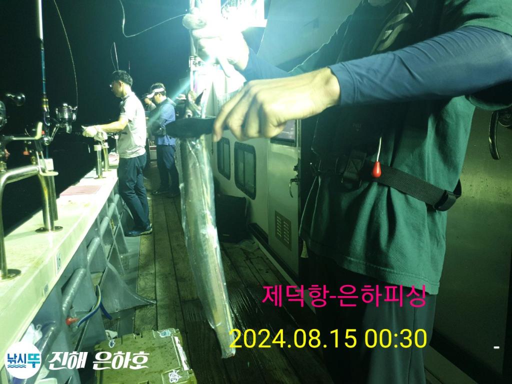 낚시뚜,갈치,진해 괴정방파제,진해은하피싱,낚시뚜9