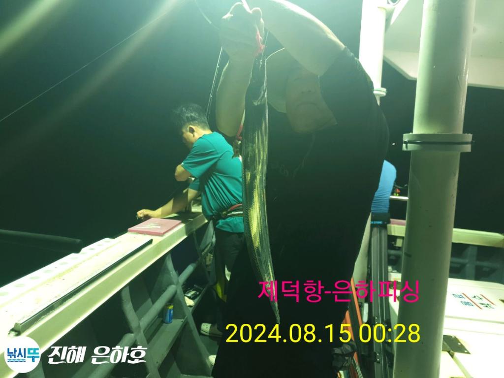 낚시뚜,갈치,진해 괴정방파제,진해은하피싱,낚시뚜8