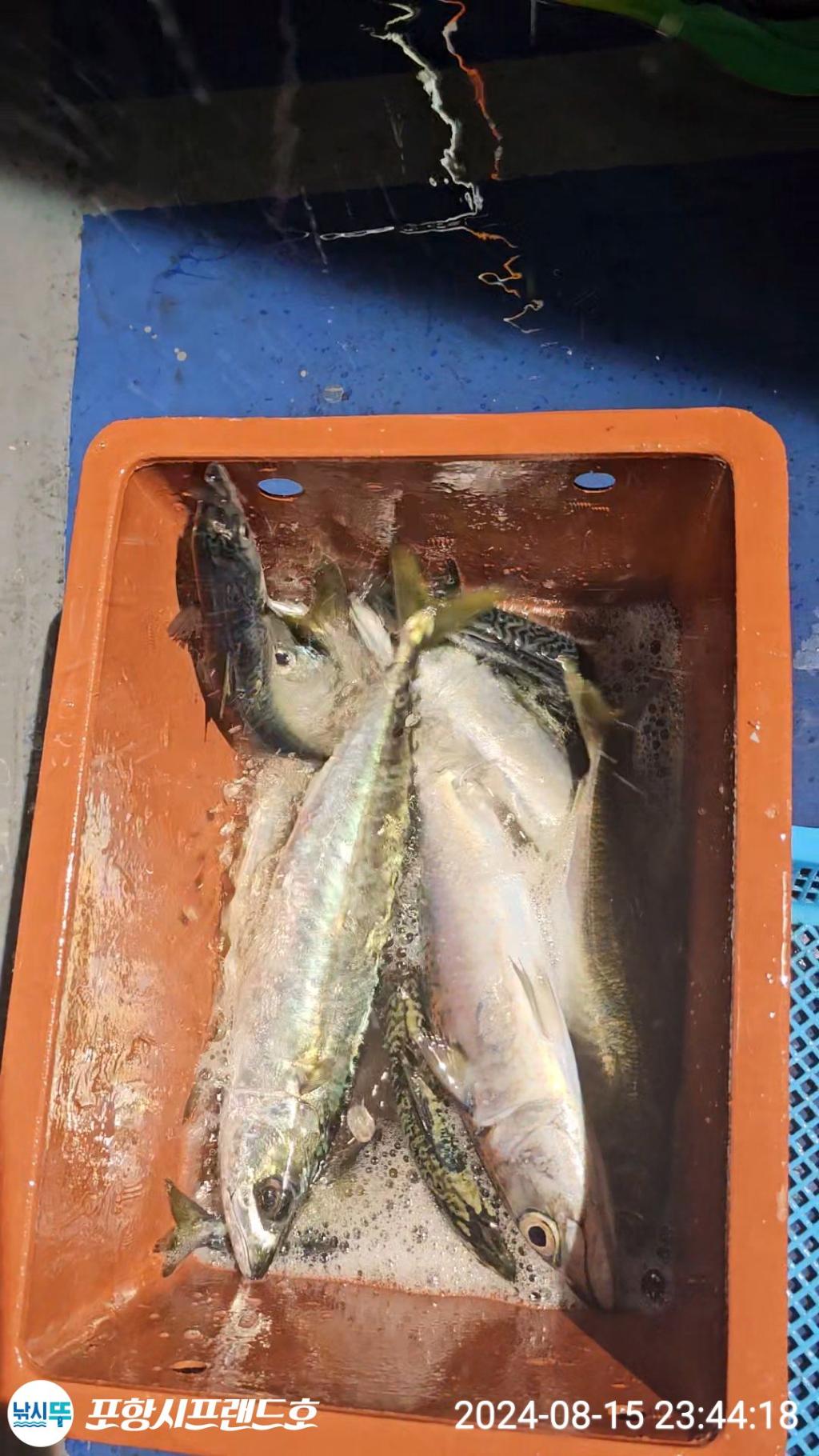 F2475484P7.jpg