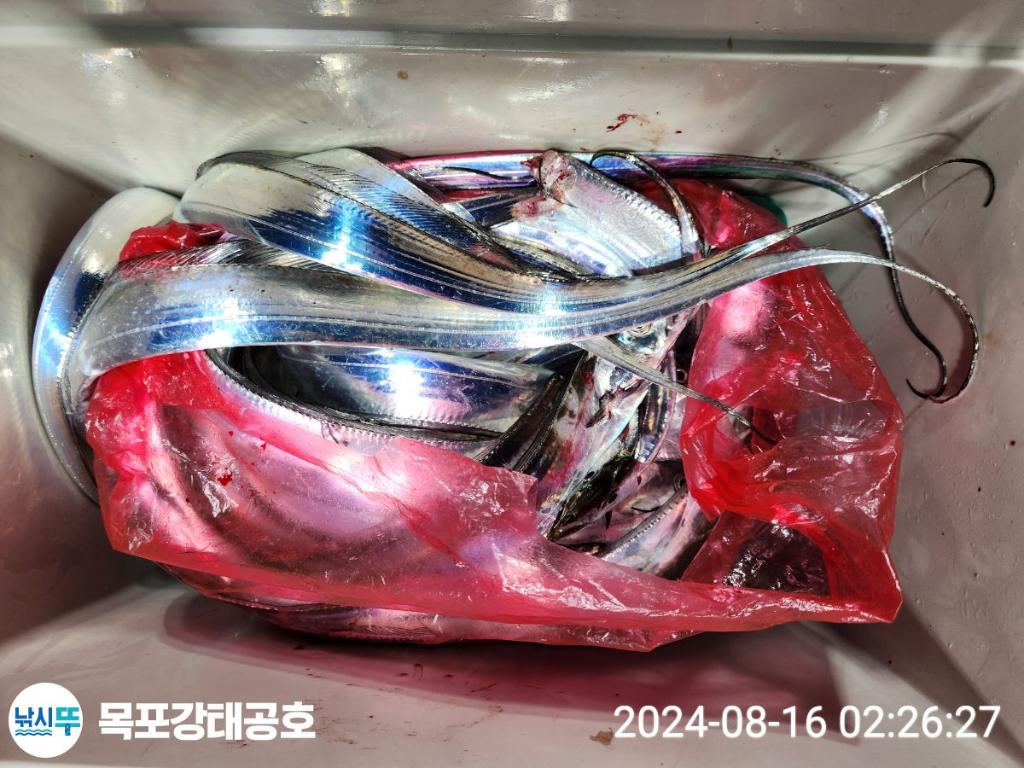 F2475604XB.jpg