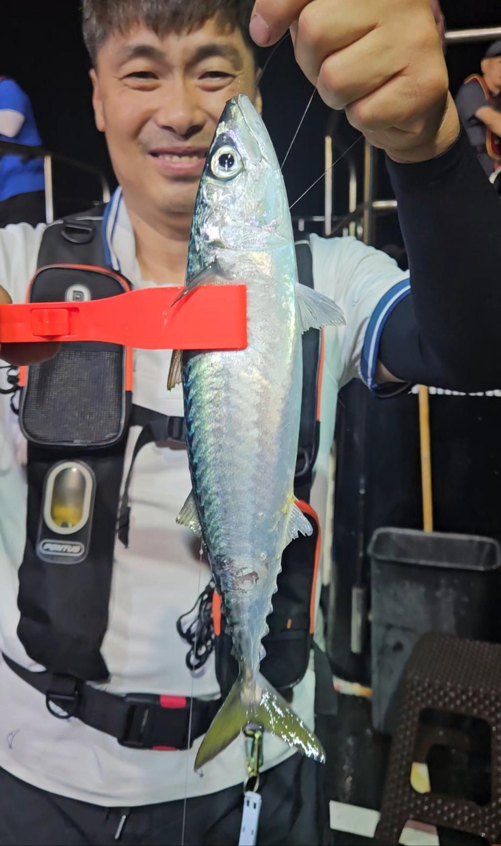 F2475627R4.jpg