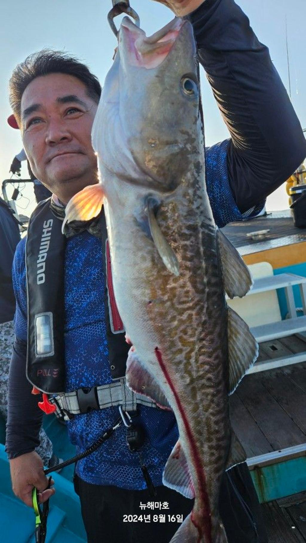 F2475800YJ.jpg