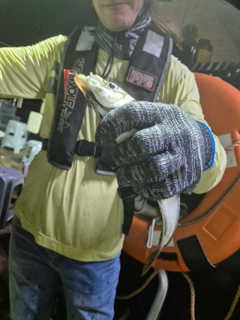 F2475834OC.jpg
