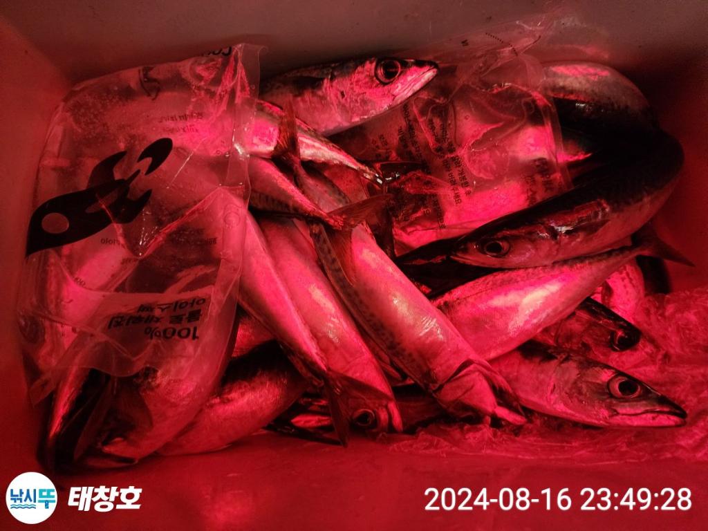 F24761149U.jpg