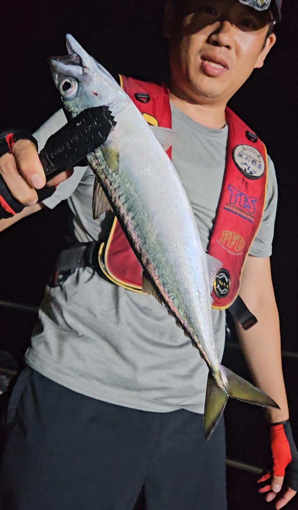 F2476150XA.jpg