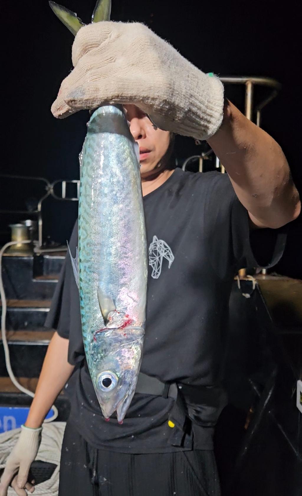 F2476152P3.jpg