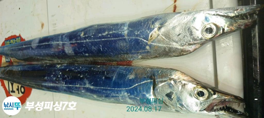 F2476303V7.jpg