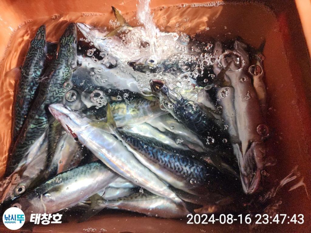 F2476922VN.jpg
