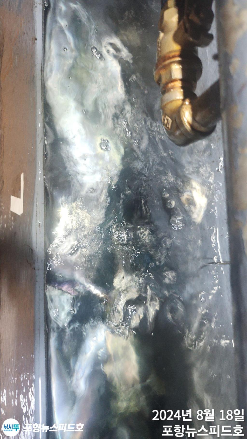 F24770702O.jpg