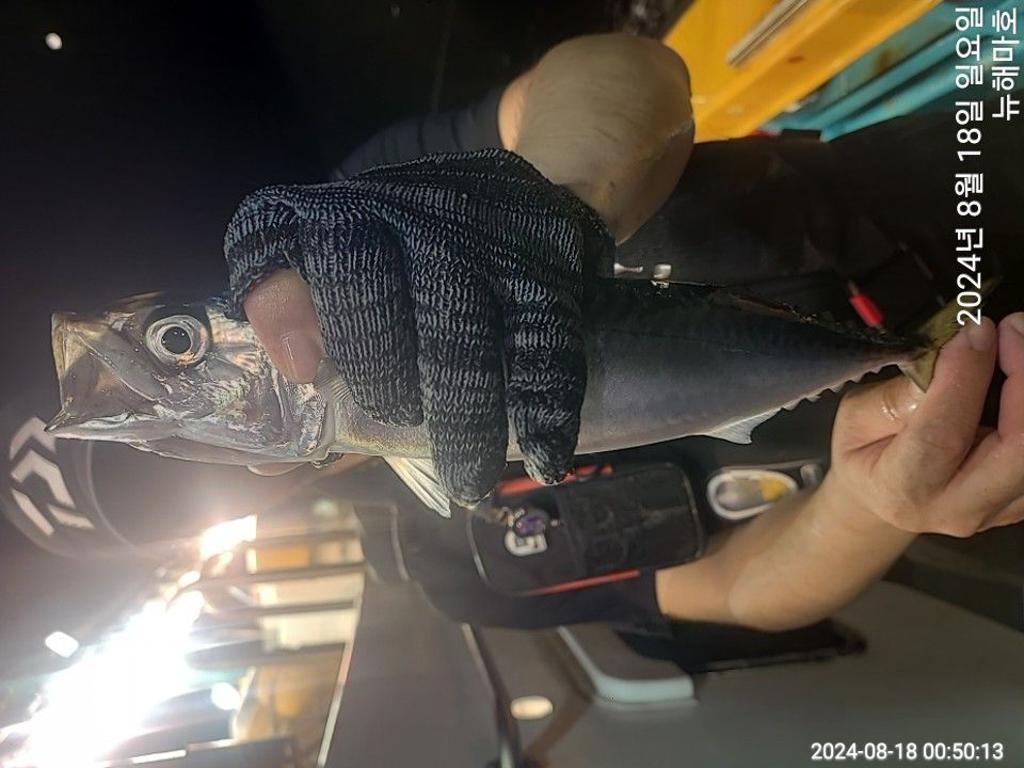 F2477198Y9.jpg