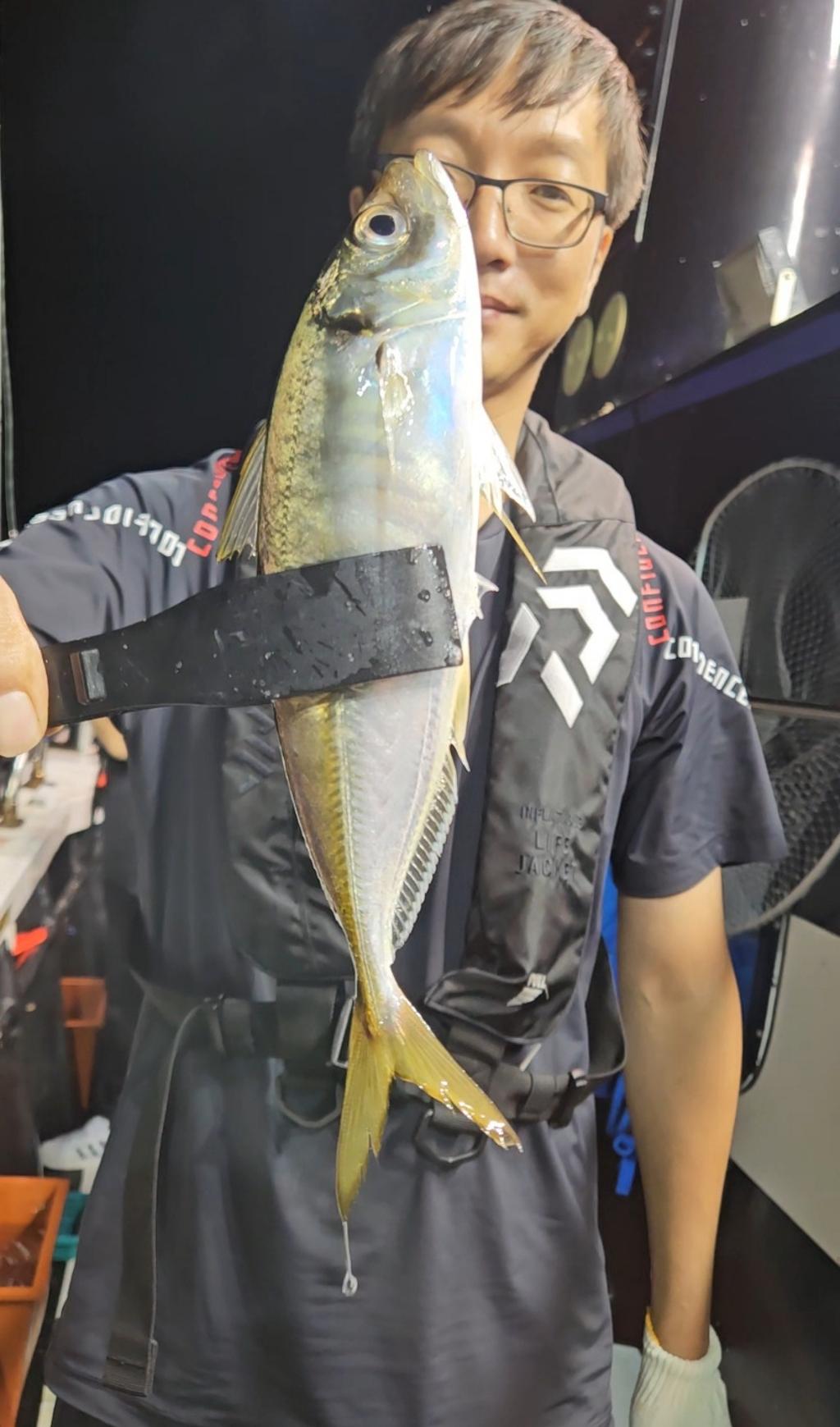 F2478078T4.jpg