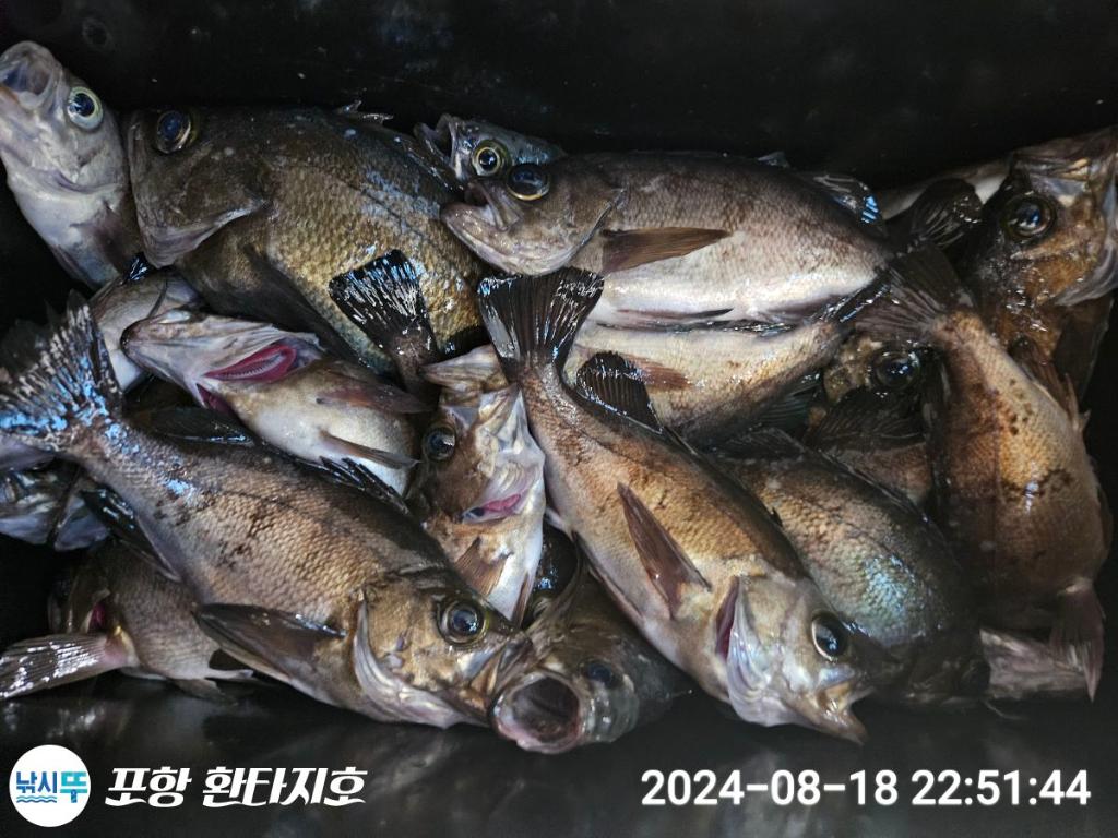 F2478094SY.jpg