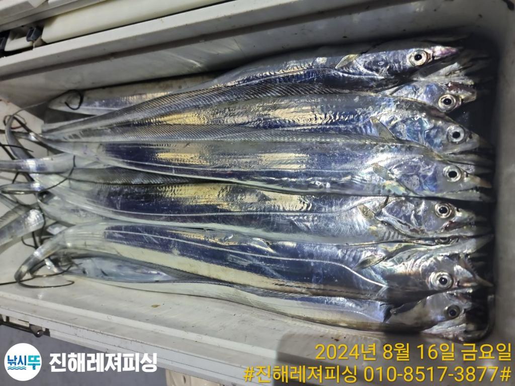 F2478159RV.jpg