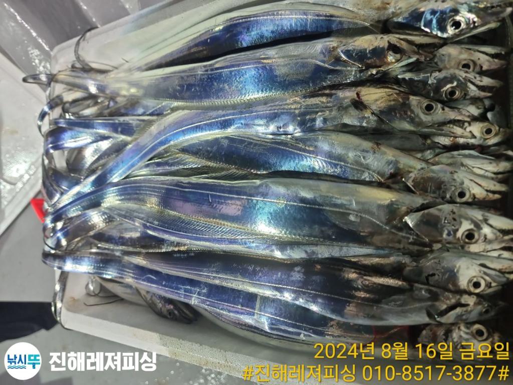 F2478160XU.jpg