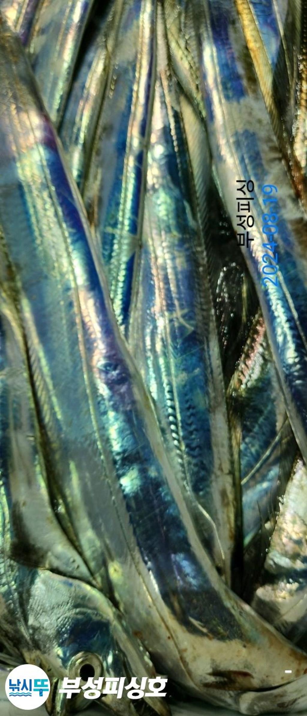 F24782976E.jpg