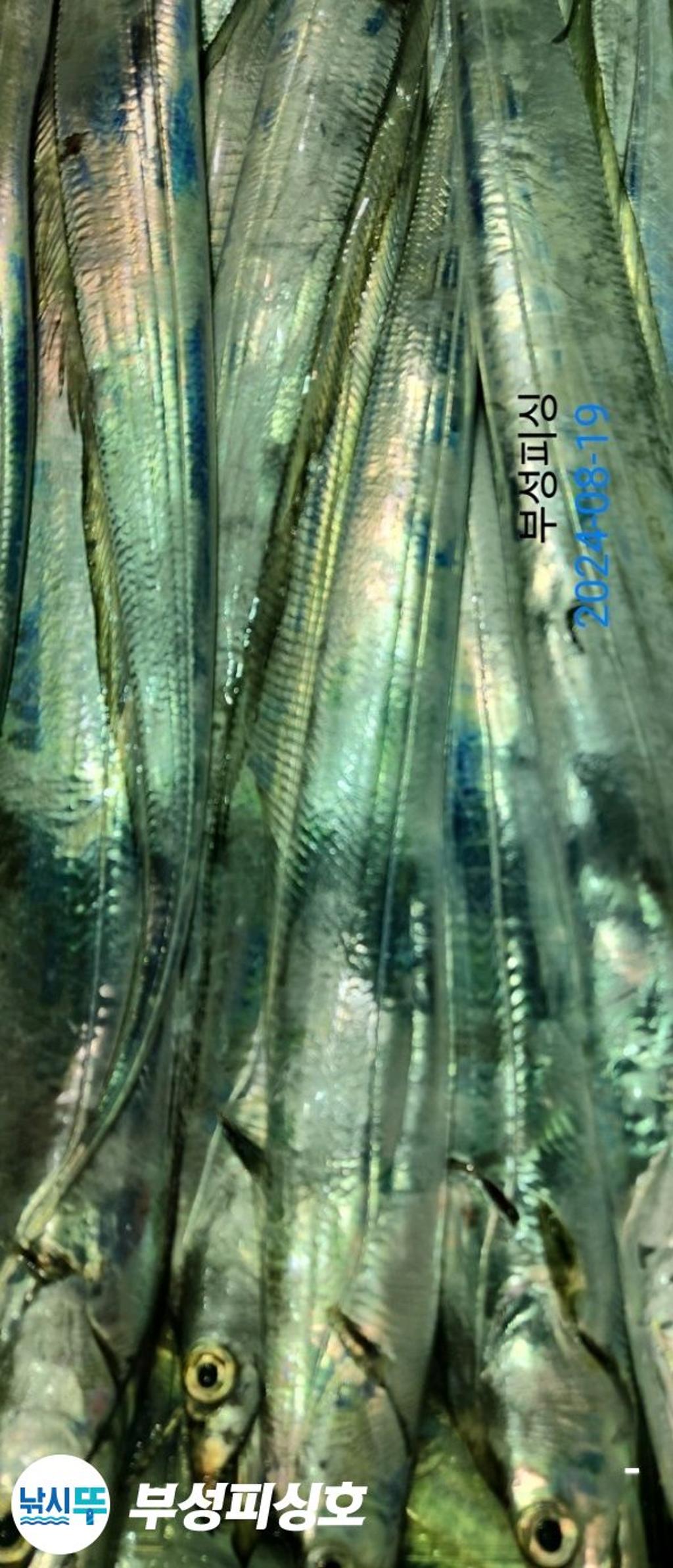F2478298B7.jpg