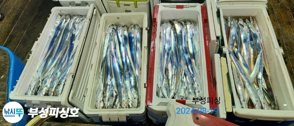 F247830508.jpg