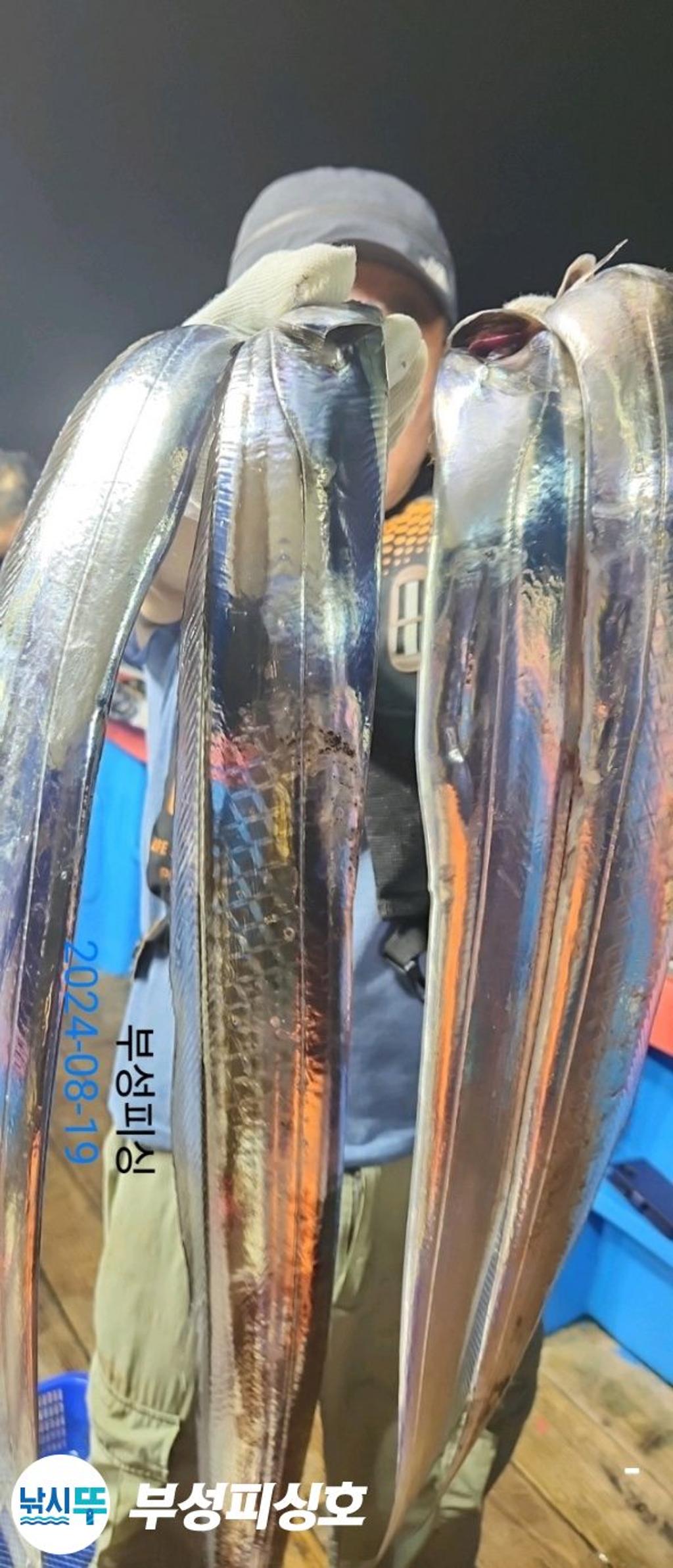 F2478315HU.jpg