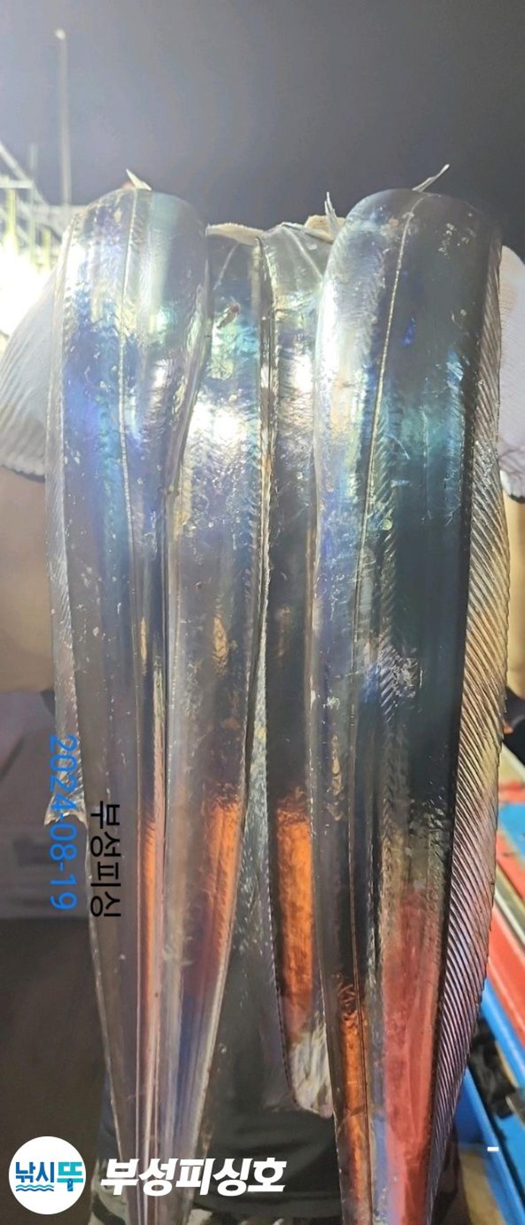 F2478316F1.jpg