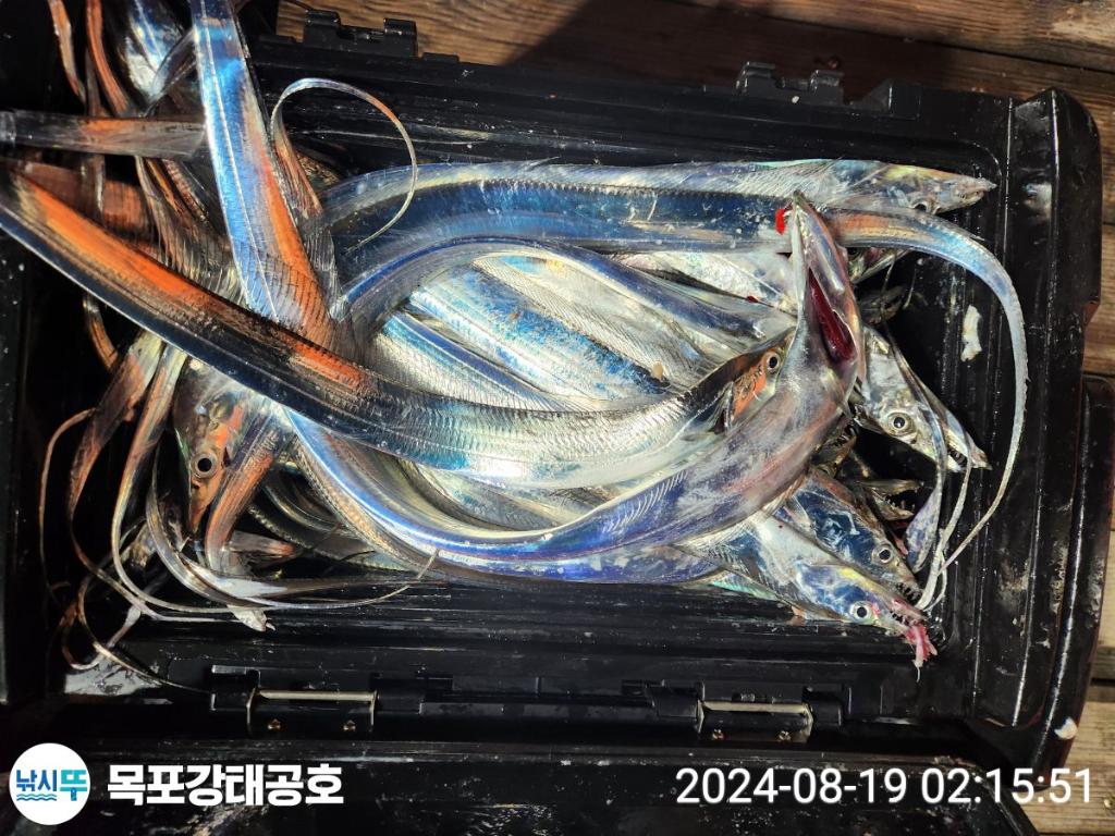 F2478455QP.jpg