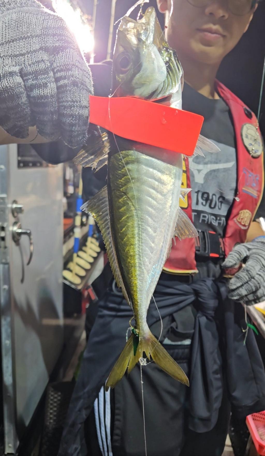 F2478532CR.jpg