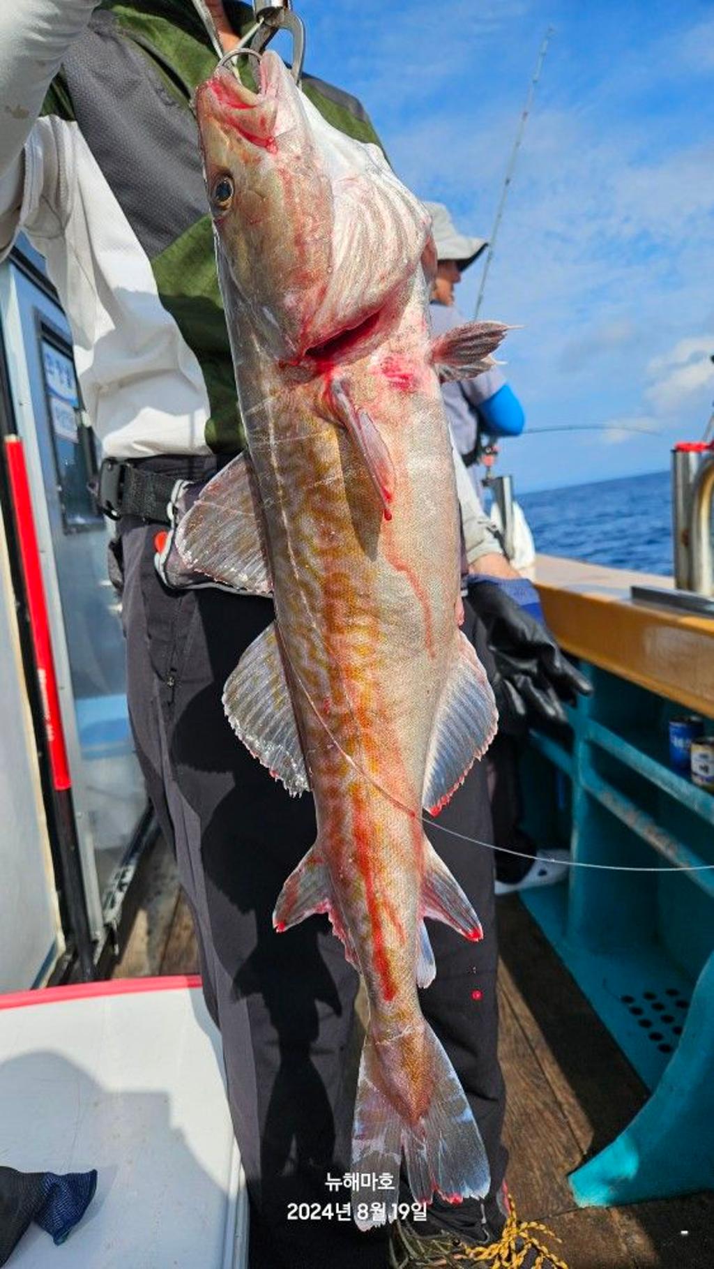 F2478591RT.jpg
