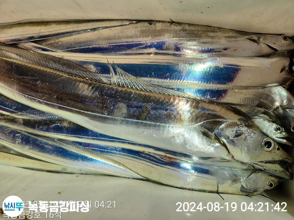 F2478684HM.jpg