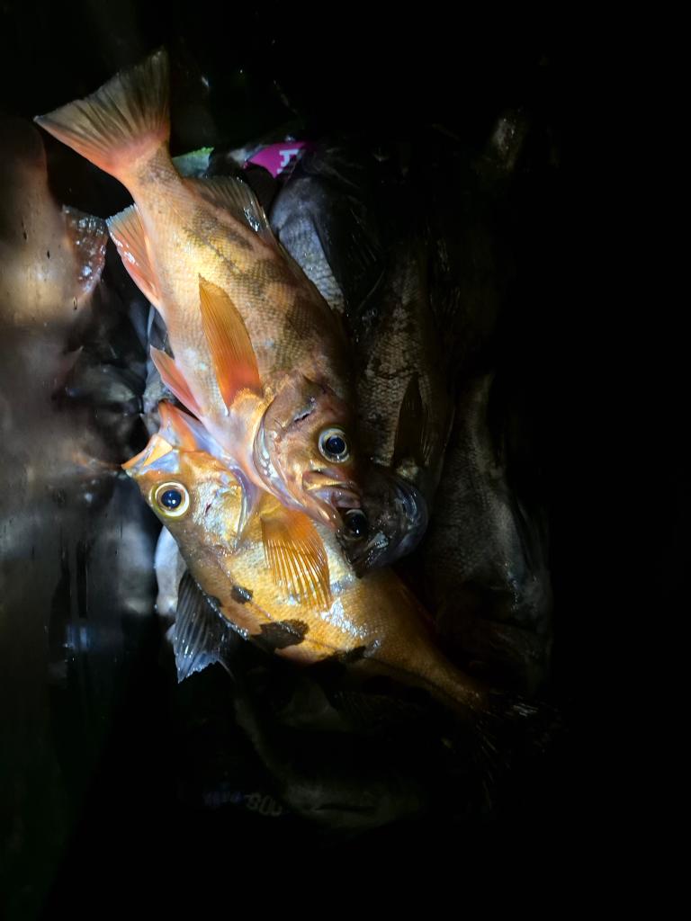 F2478894UF.jpg
