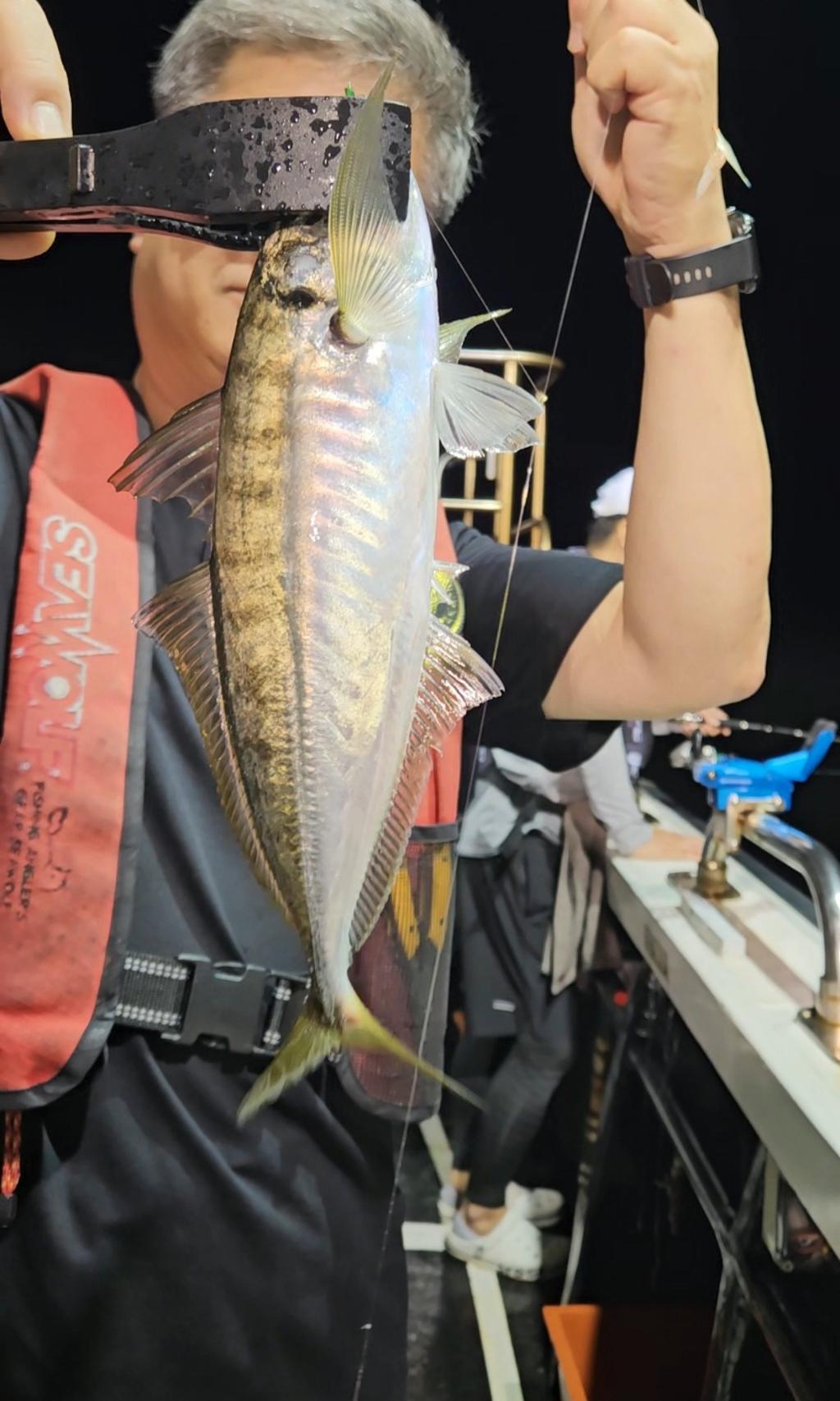 F2479053UF.jpg