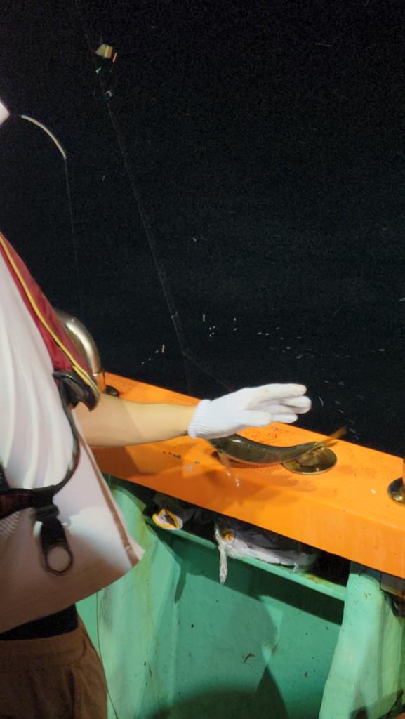 F2479114IC.jpg