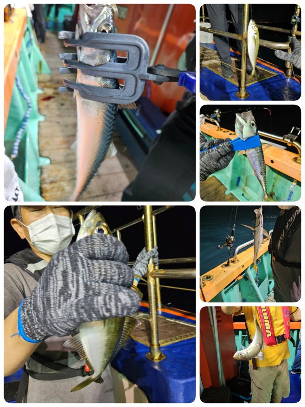 F24791989F.jpg