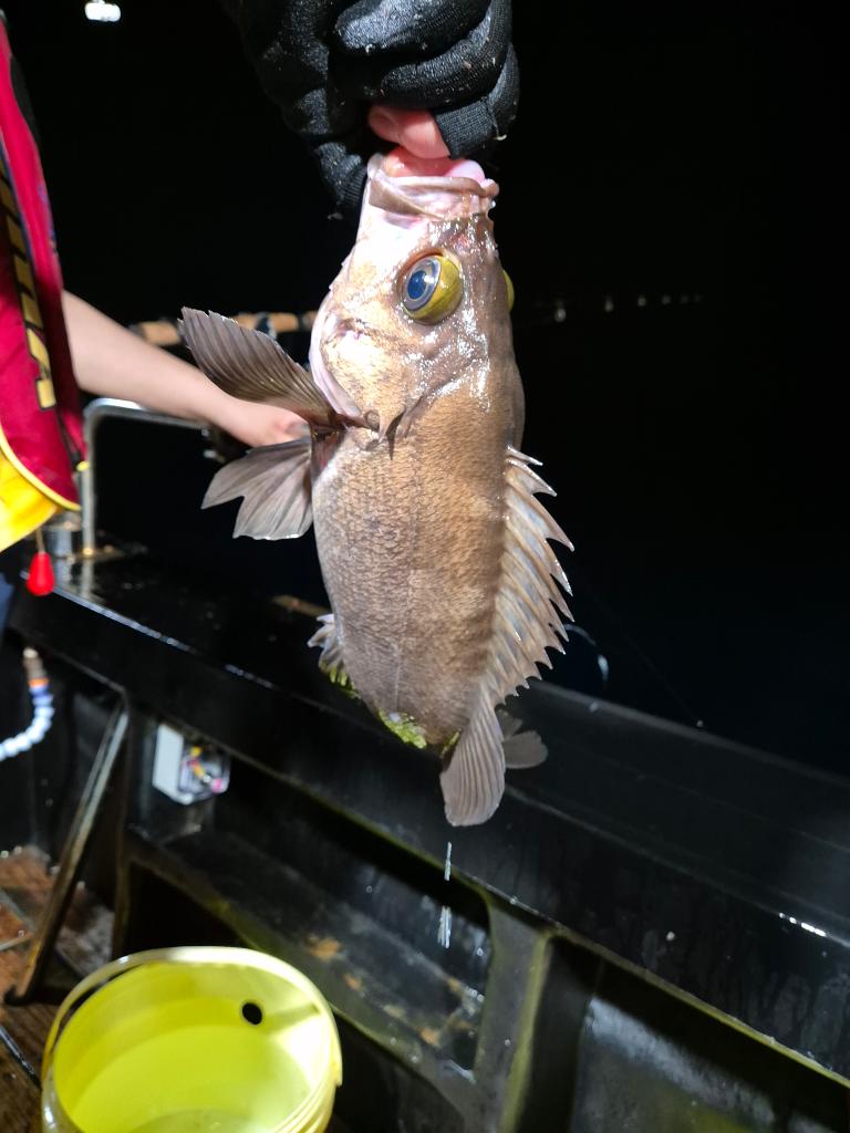 F2480525EA.jpg