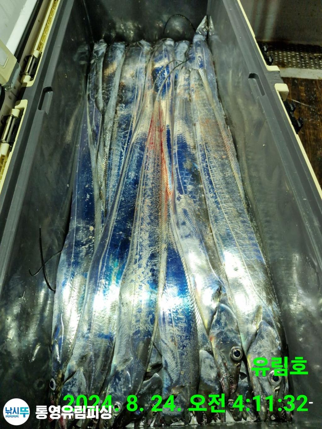 F2481027WI.jpg