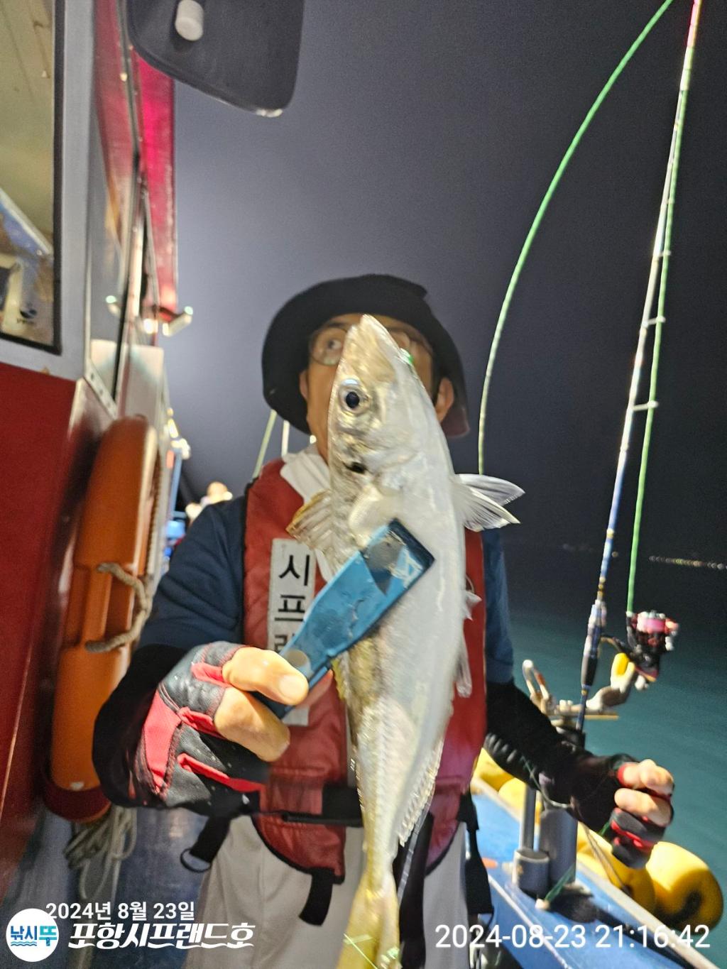 F24811174R.jpg