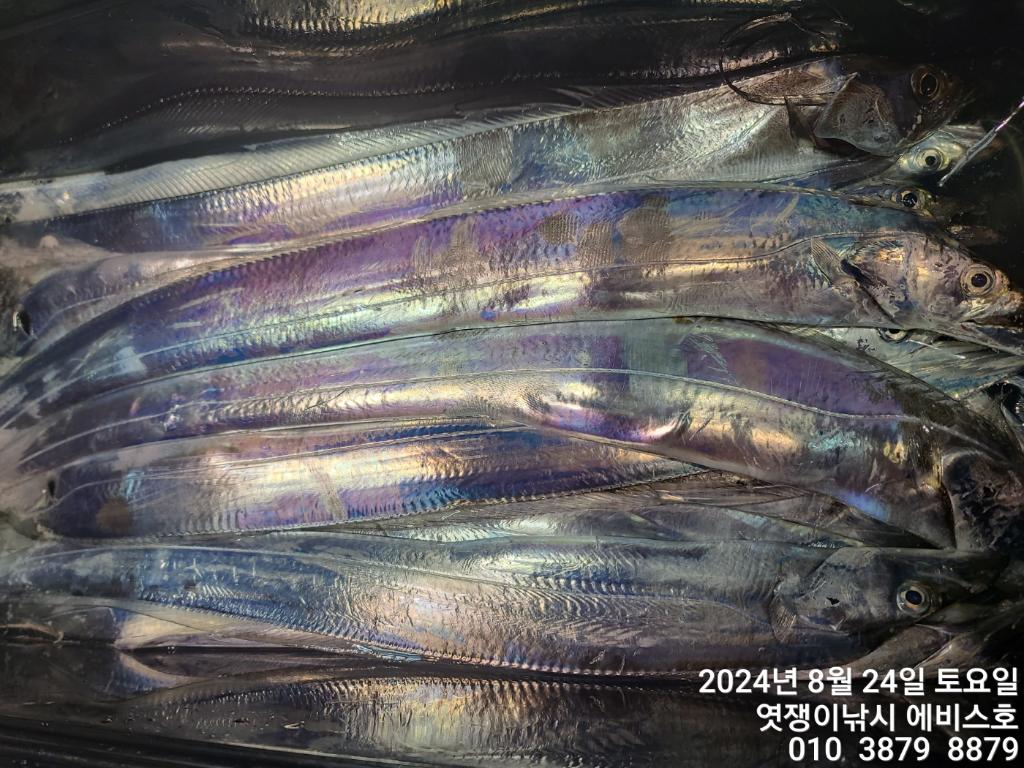 F248123972.jpg