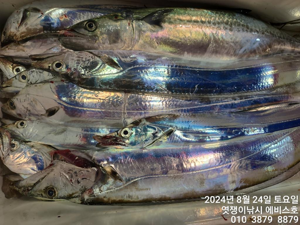 F2481250QB.jpg