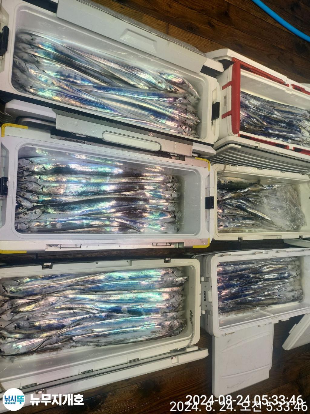 F2481571CA.jpg