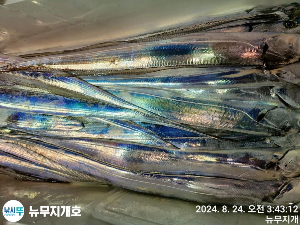 F24815876R.jpg