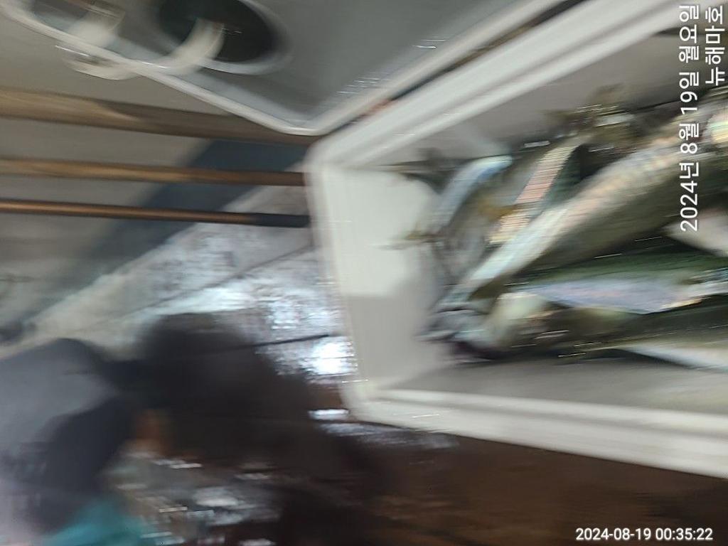 F2481701WV.jpg