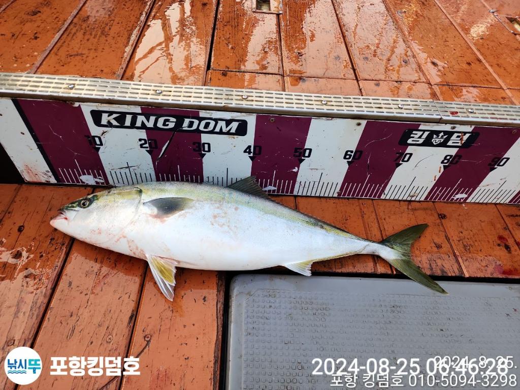 F2482642LK.jpg
