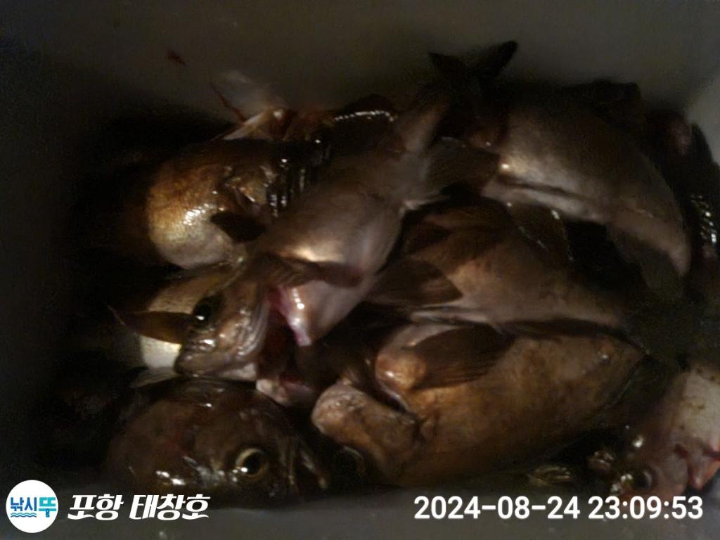F2482680SW.jpg