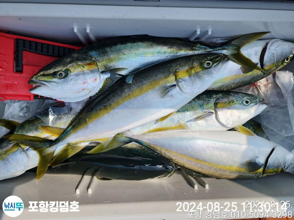 F24830503X.jpg