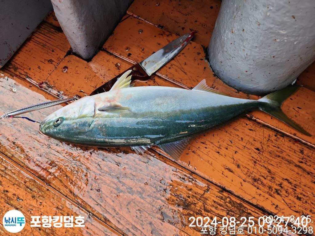 F24830554P.jpg