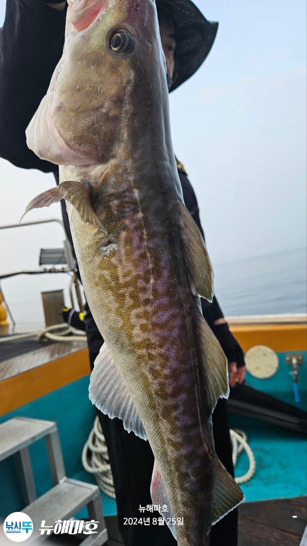 F2483098AW.jpg