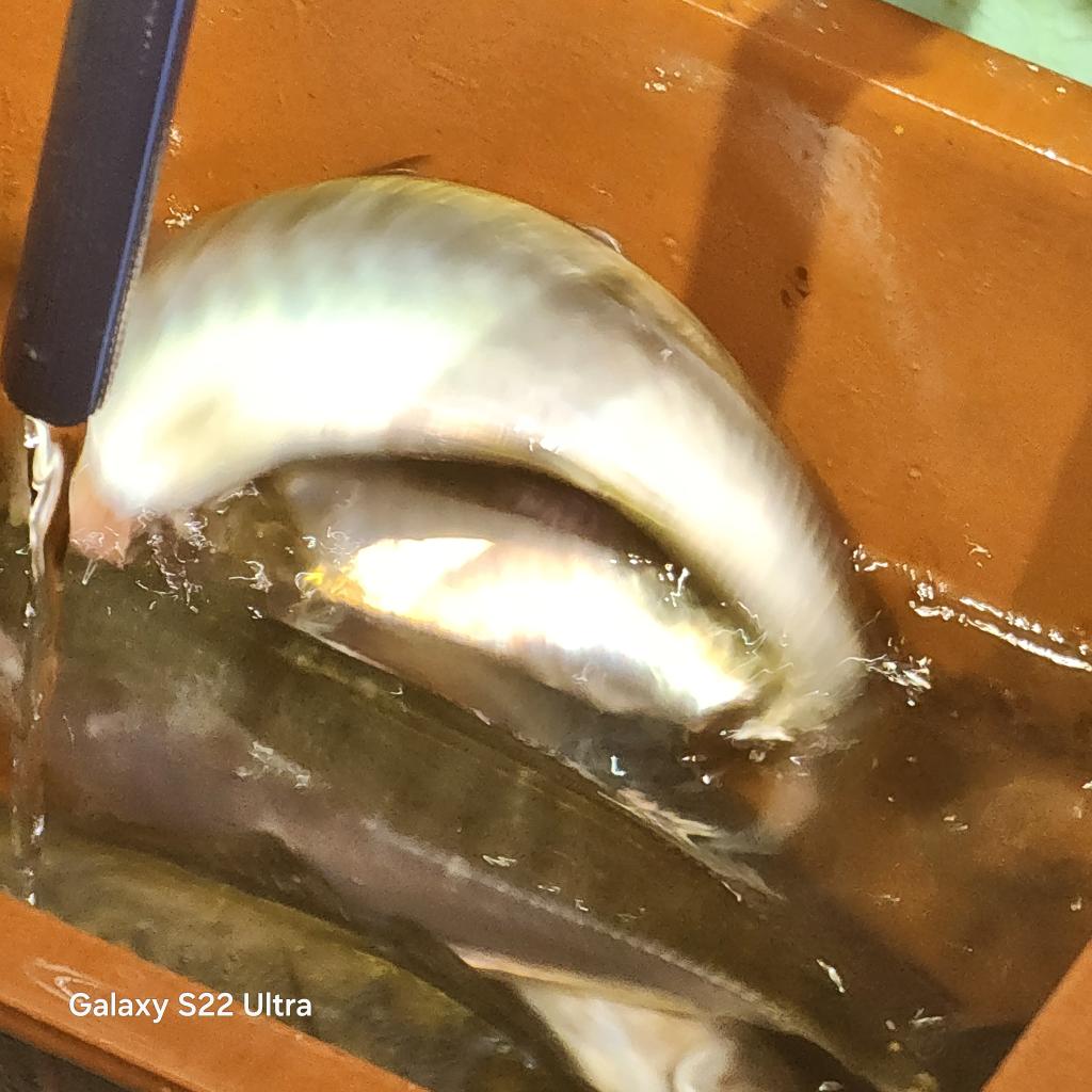 F248358600.jpg