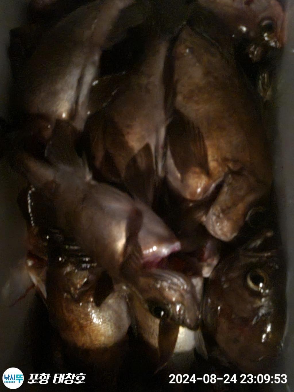 F248391390.jpg