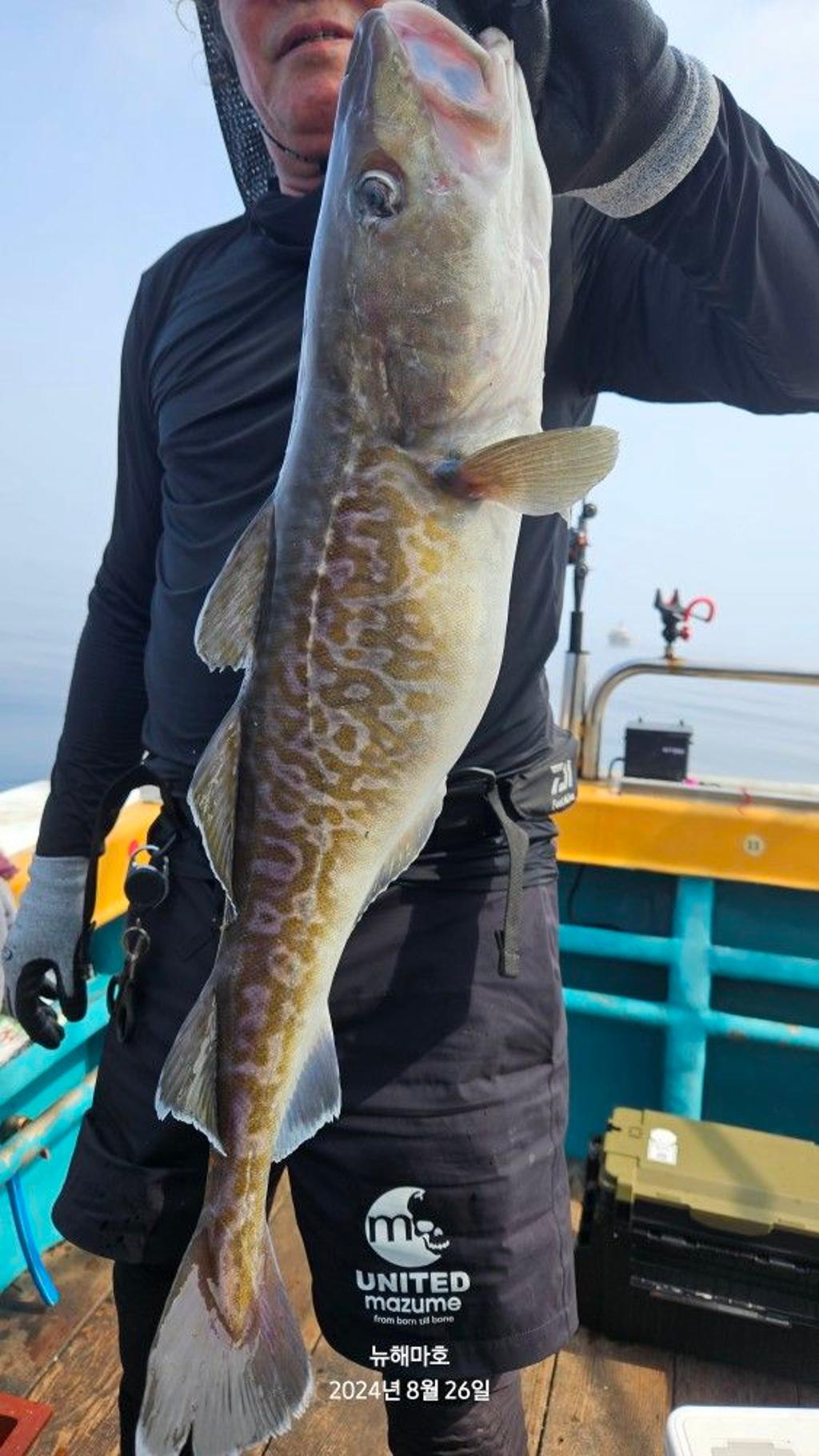 F2484211JY.jpg