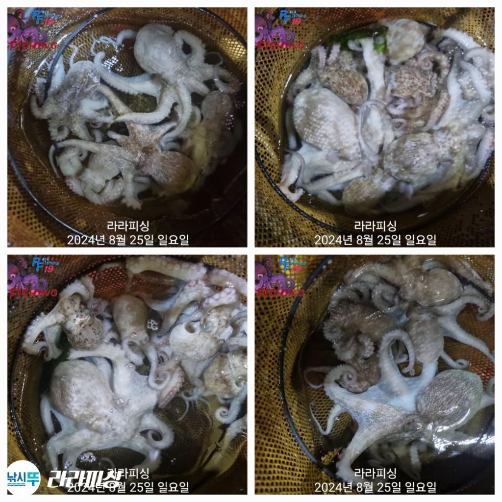 F2484416EI.jpg